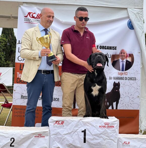 Impero-kennel
