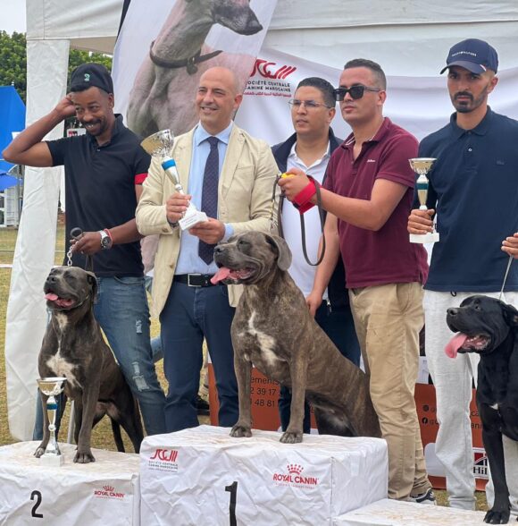 Impero-kennel