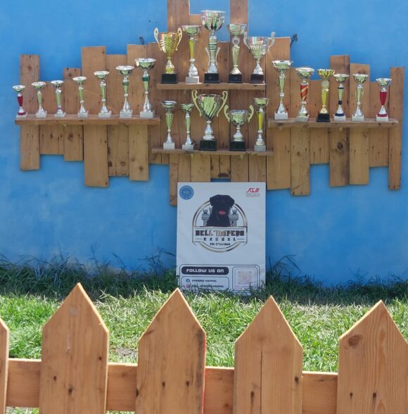 Impero-kennel