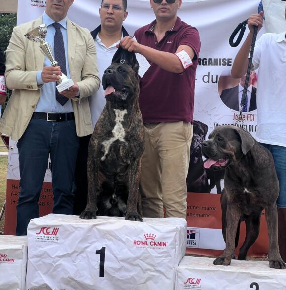 Impero-kennel