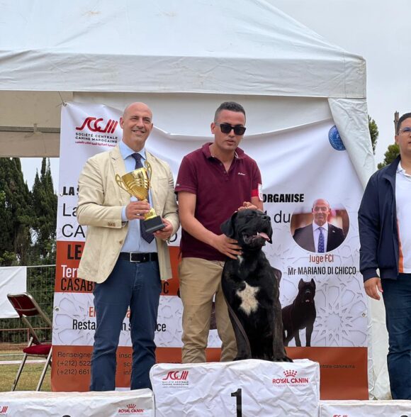 Impero-kennel
