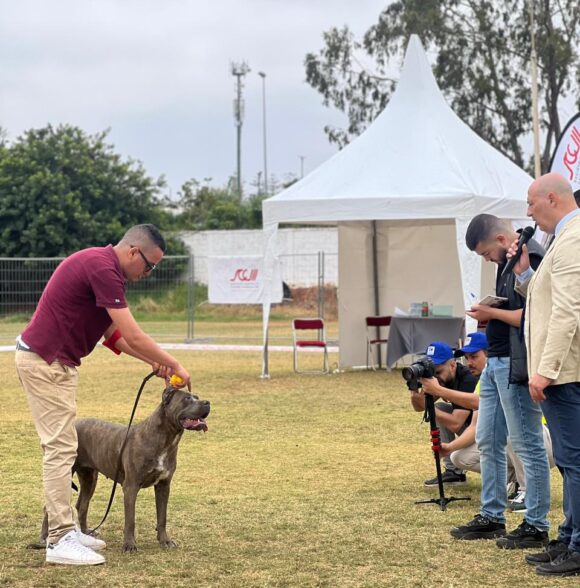 Impero-kennel