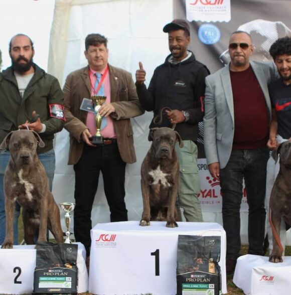 Impero-kennel