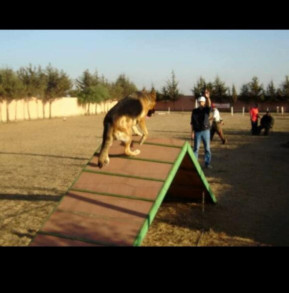 Az eddine ben mehredj
