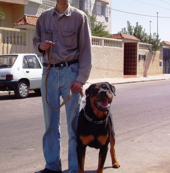 Az eddine ben mehredj