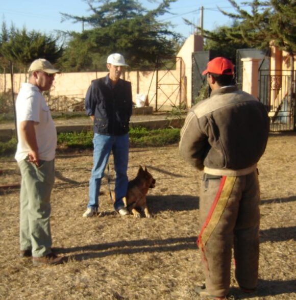 Az eddine ben mehredj