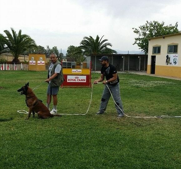 Animal Services Center