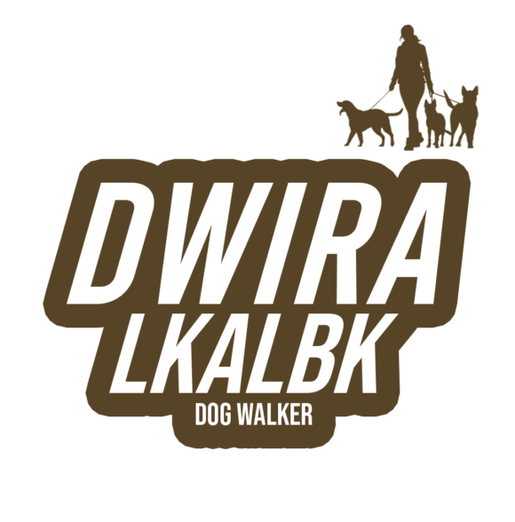 dwira_lkalbk
