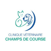 Clinique vétérinaire champs de course
