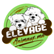 Elevageanimaux.ma