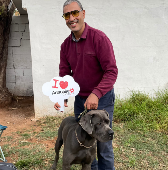 Cane Corso breeders