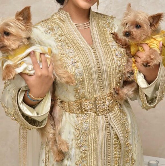 Bazaar puppy