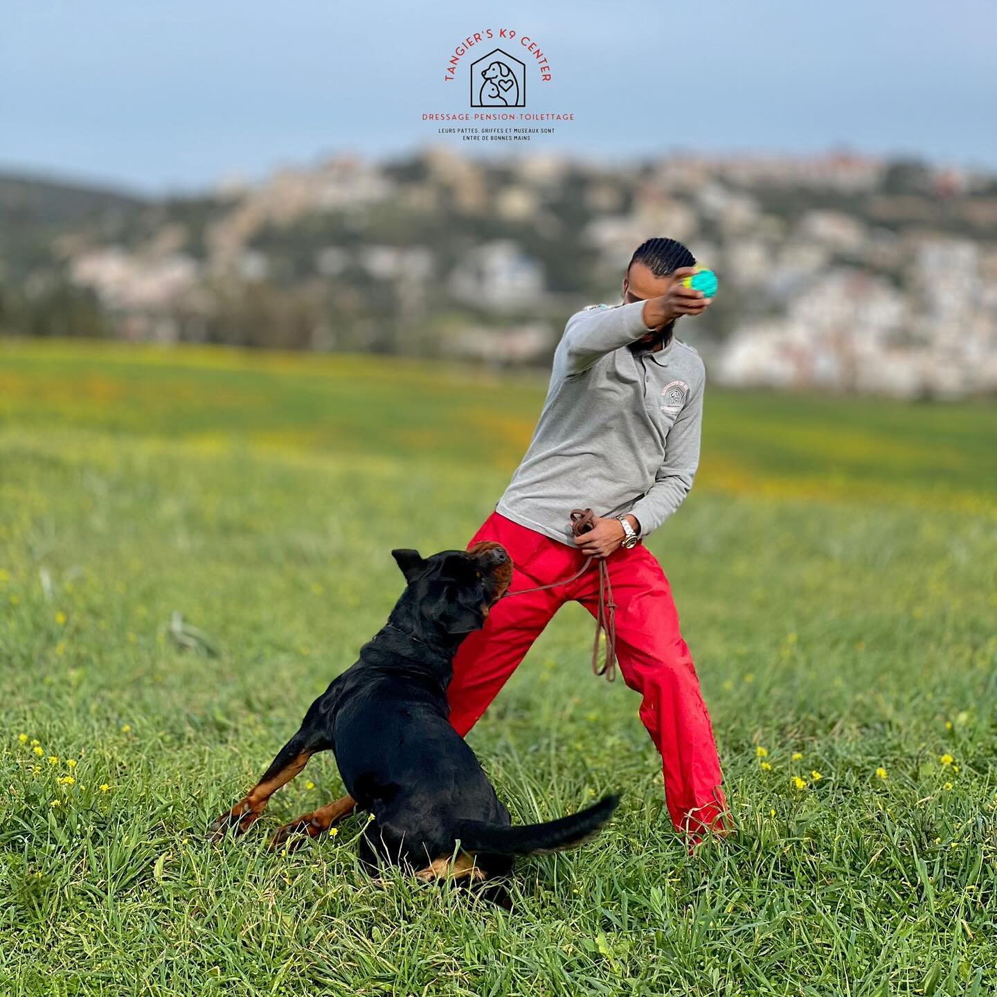 Tangier’s K9 Center