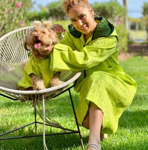 Bazaar puppy