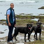 Cane Corso breeders