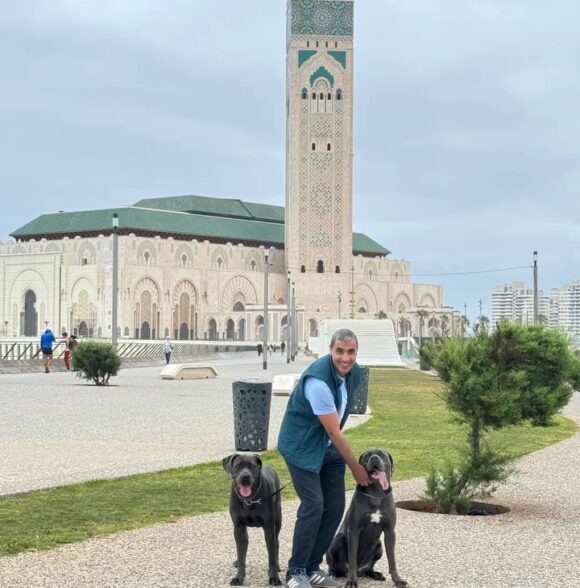 Cane Corso breeders