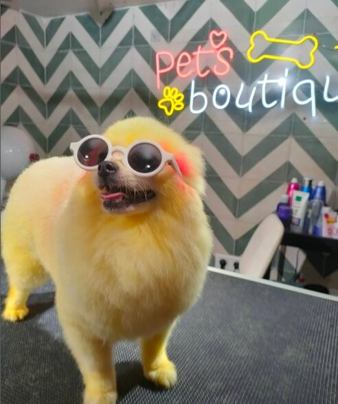 Shayapet