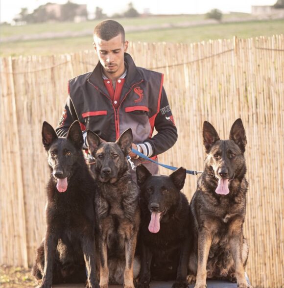 Les Élites Du Chien Club de Dressage Bouskoura