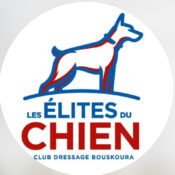 Les Élites Du Chien Club de Dressage Bouskoura