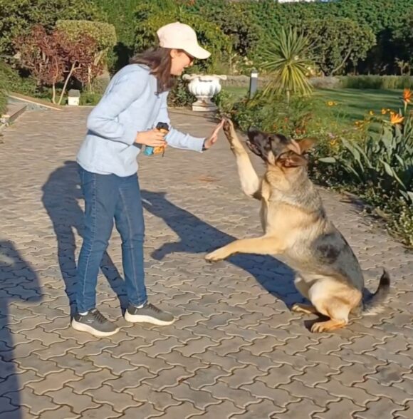 Woofycoach Yasmine