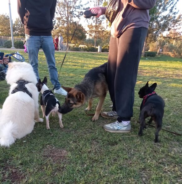 Woofycoach Yasmine