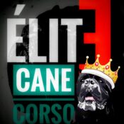 Elite Cane corso