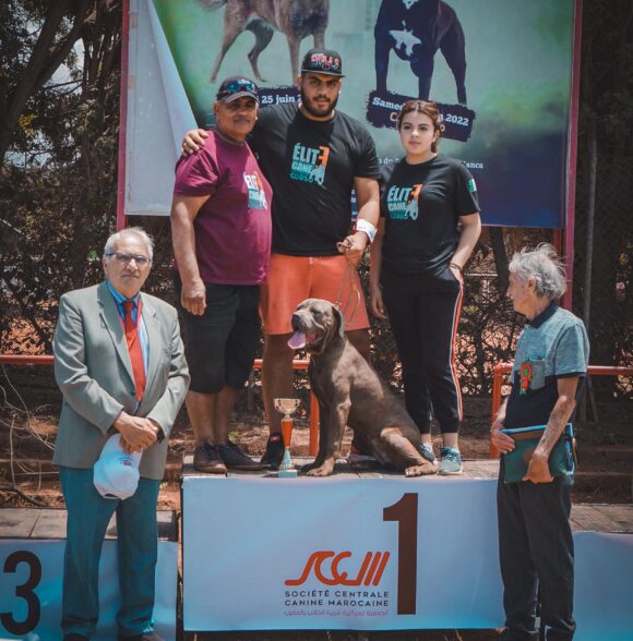Elite Cane corso