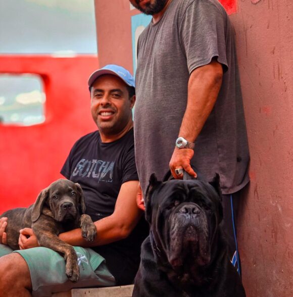 Elite Cane corso