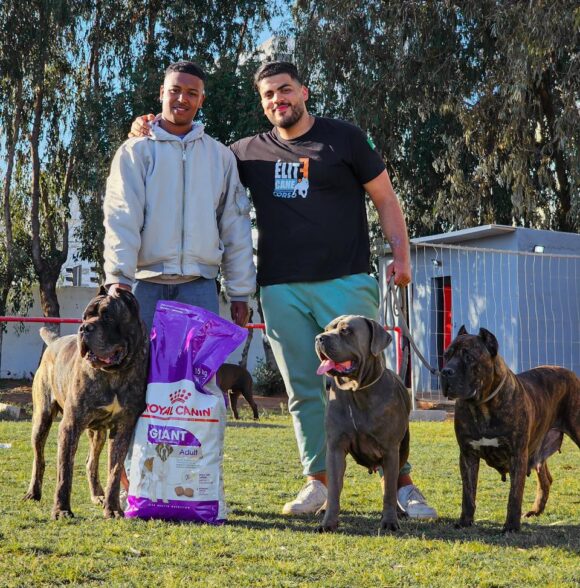 Elite Cane corso