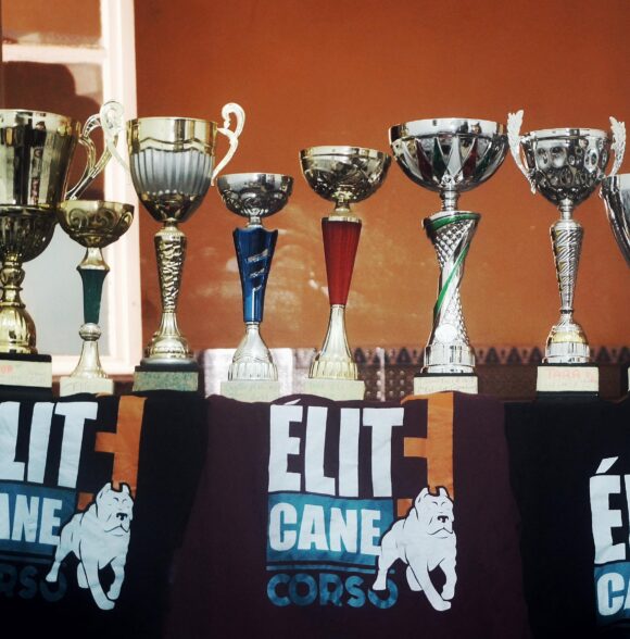 Elite Cane corso