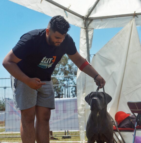Elite Cane corso