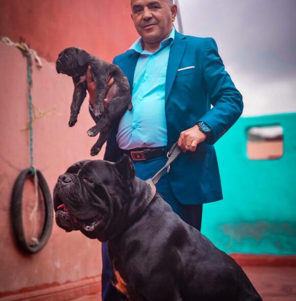 Elite Cane corso
