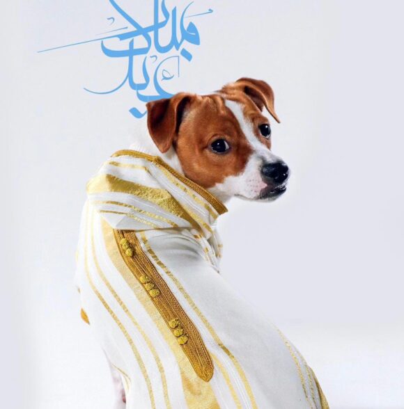 Bazaar puppy