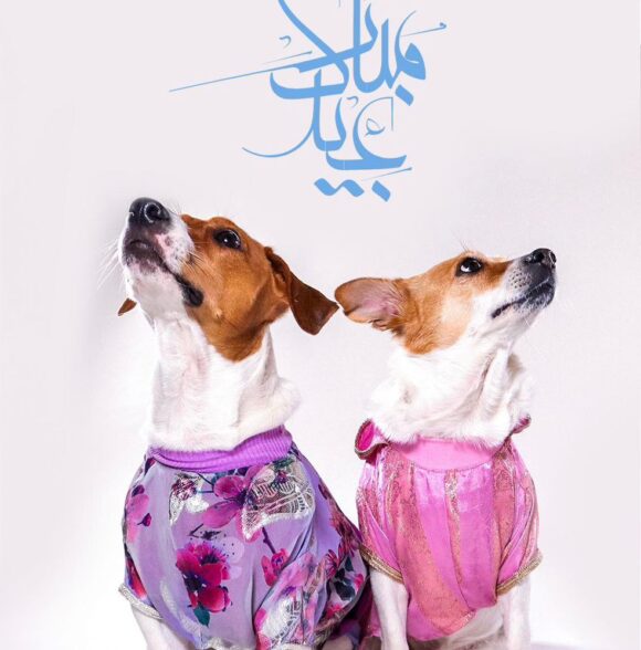 Bazaar puppy