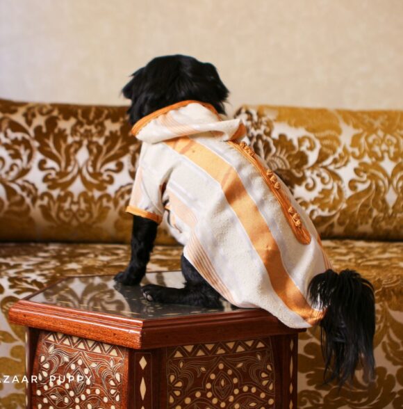 Bazaar puppy