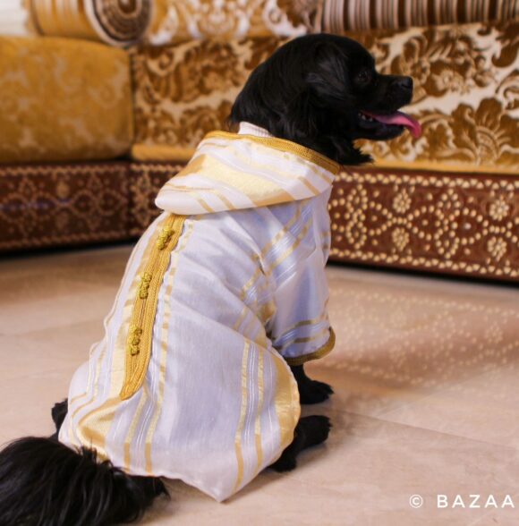 Bazaar puppy