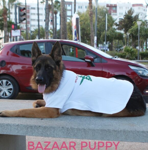 Bazaar puppy