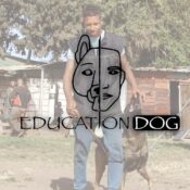 Éducation dog
