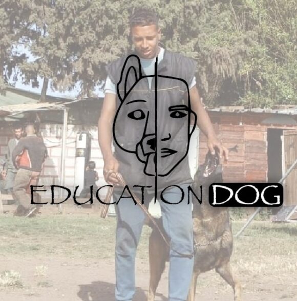 Éducation dog