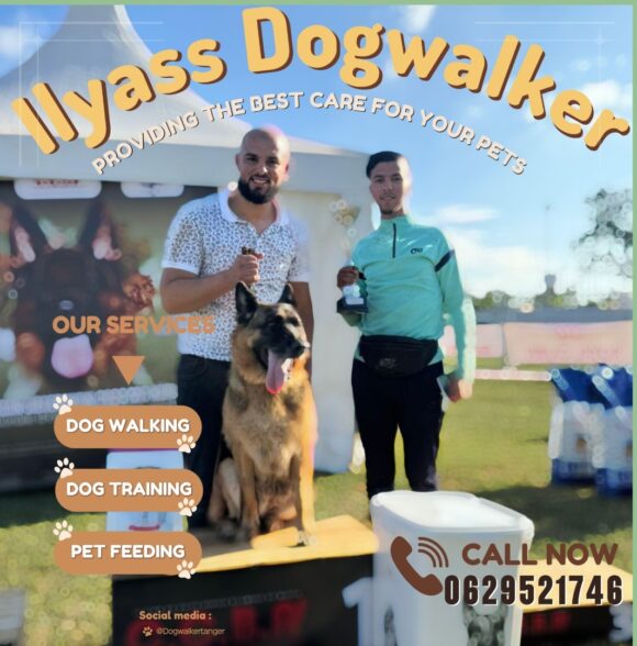 Dogwalker Tanger