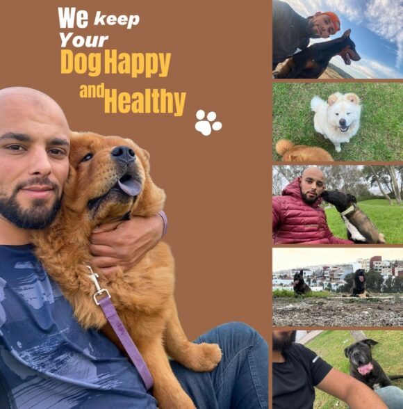 Dogwalker Tanger