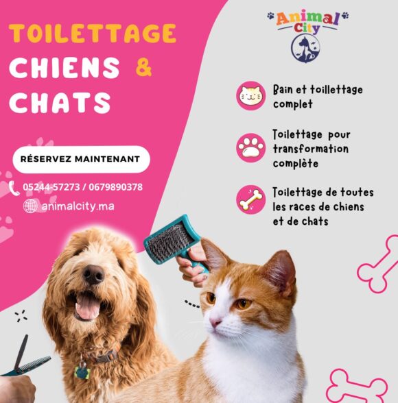 Animal City Marrakech