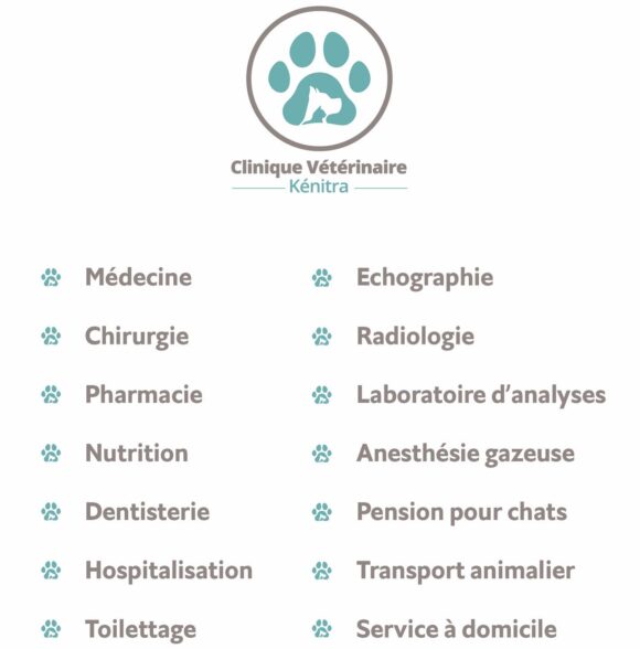 Clinique vétérinaire Kénitra