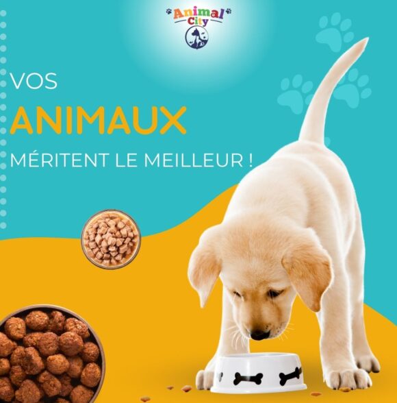 Animal City Marrakech