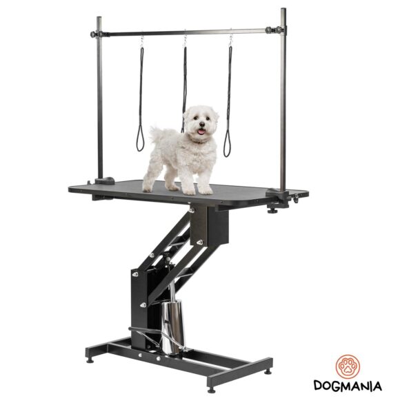 DOGMANIA