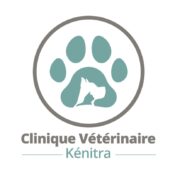 Clinique vétérinaire Kénitra