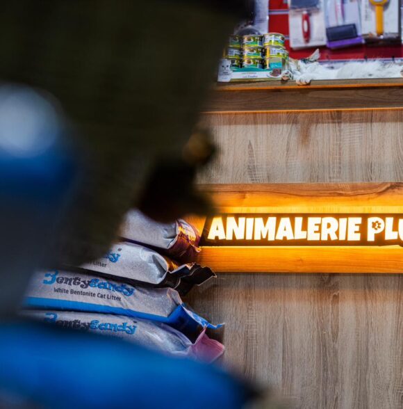 Animalerie plus
