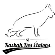 La kasbah des étalons