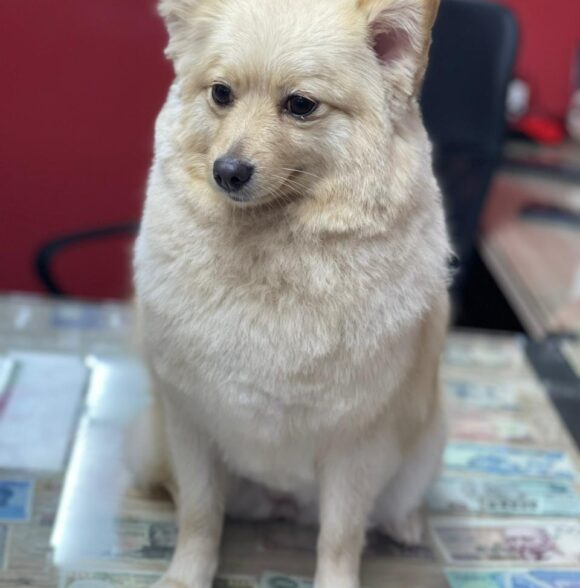 Animalerie SAM