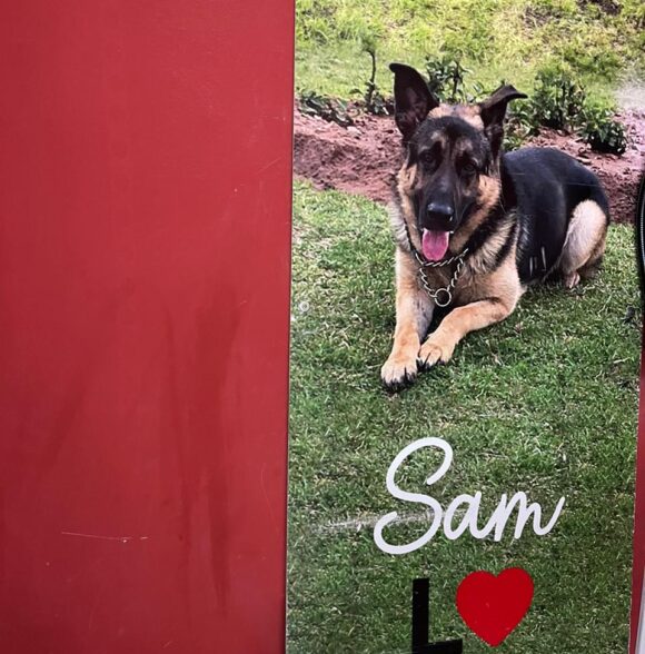 Animalerie SAM
